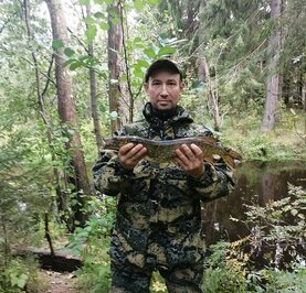 Аркадий
