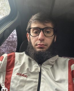 Альби